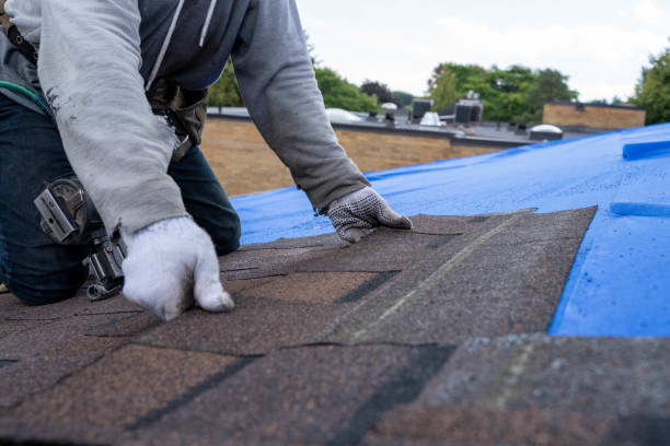 Best Flat Roof Repair Services  in Pingree Grove, IL