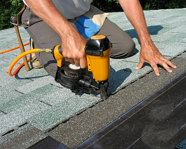Best Roof Waterproofing Services  in Pingree Grove, IL