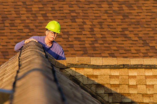 Best Roof Gutter Cleaning  in Pingree Grove, IL