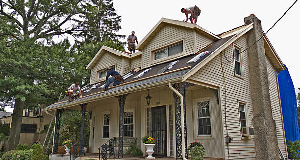 Best Emergency Roof Repair  in Pingree Grove, IL